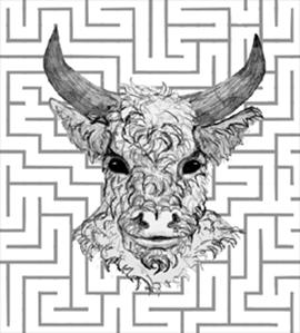 The Mask and the Maze 3