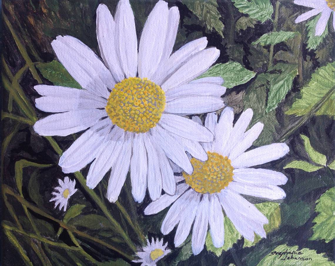 IMG_1038_daisies.jpg