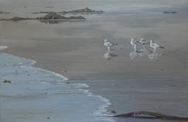 Cox Bay Seagulls on the Beach 2013 sm.jpg