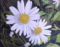 IMG_1038_daisies_sm.jpg